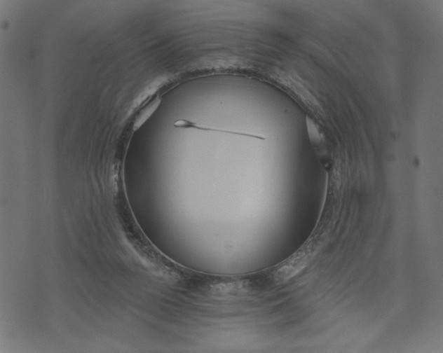 X0000070340160200606231541