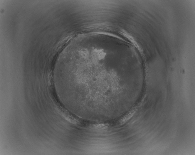 X0000070340161200606231541