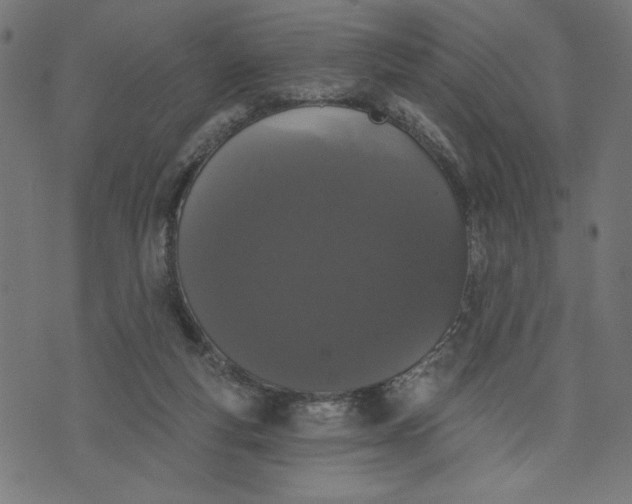 X0000070340163200606231541