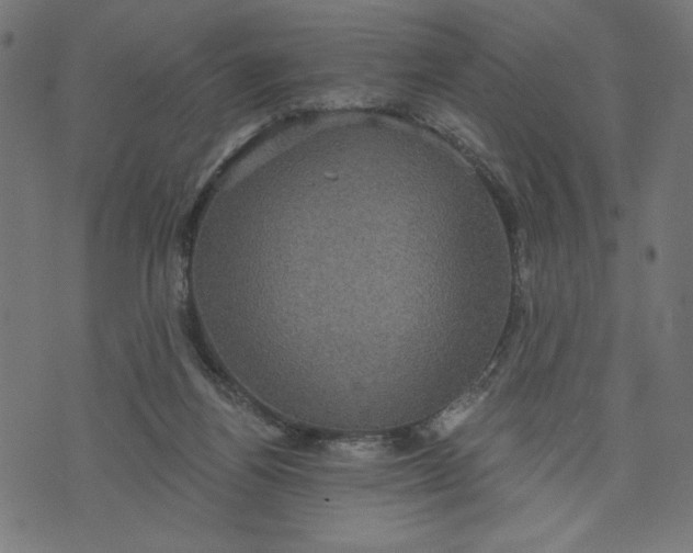 X0000070340164200606231541