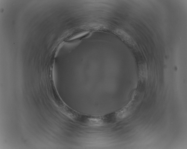 X0000070340167200606231541