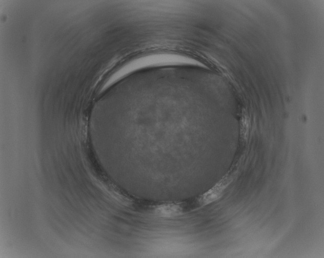 X0000070340168200606231541