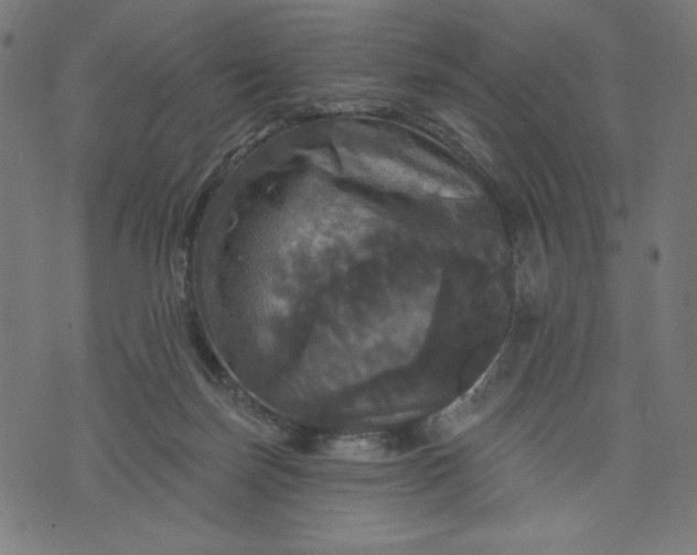 X0000070340171200606231541