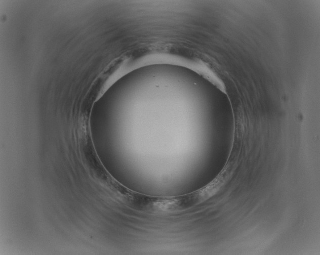 X0000070340172200606231541