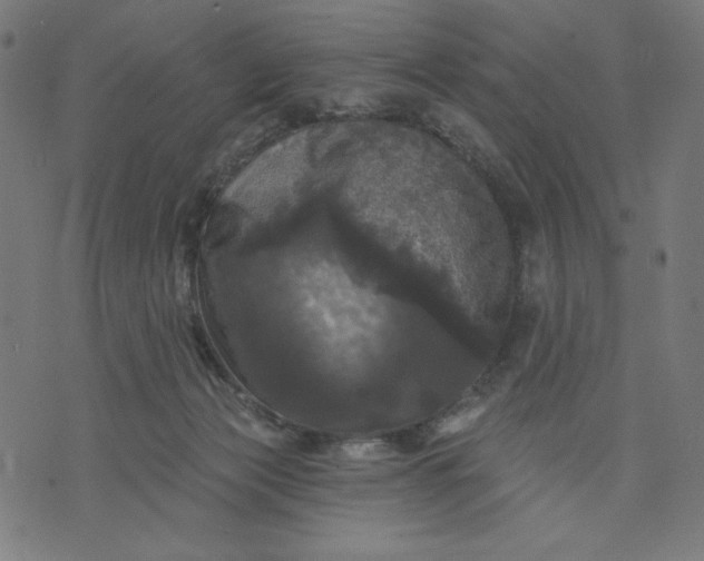 X0000070340173200606231541