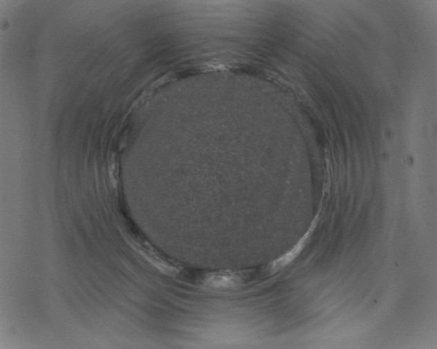 X0000070340174200606231541