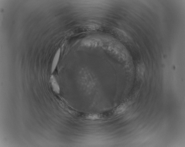 X0000070340177200606231541