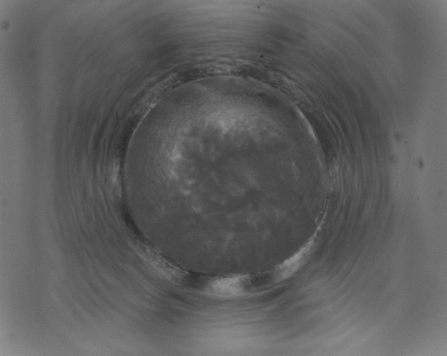 X0000070340178200606231541