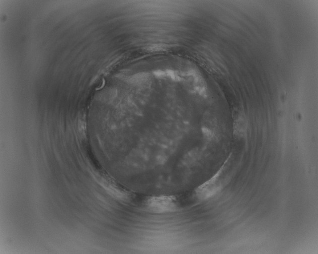 X0000070340179200606231541