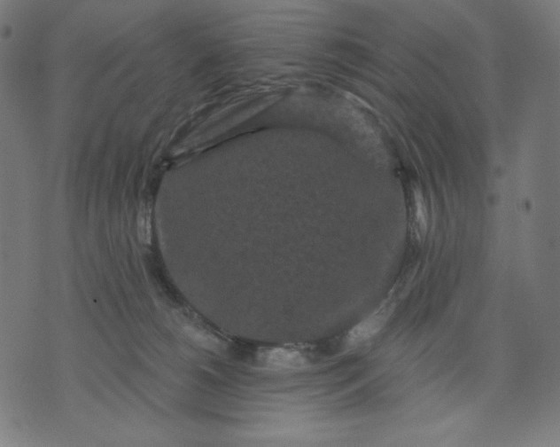 X0000070340180200606231541