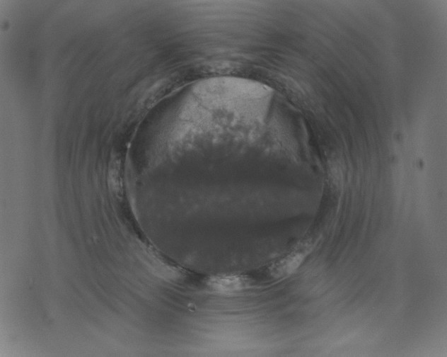 X0000070340181200606231541