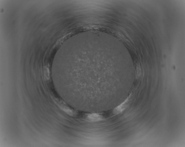 X0000070340183200606231541