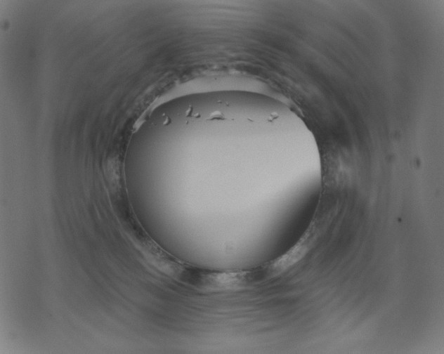 X0000070340184200606231541