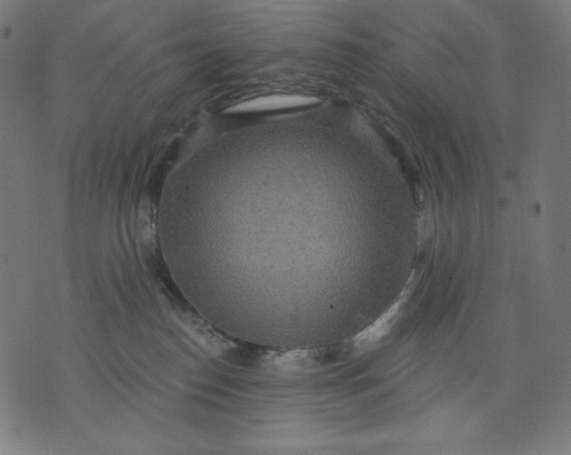 X0000070340186200606231541