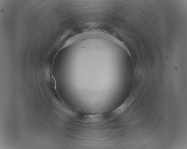 X0000070340188200606231541