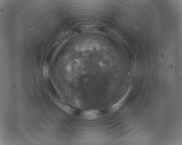 X0000070340191200606231541