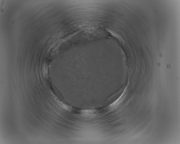 X0000070340192200606231541