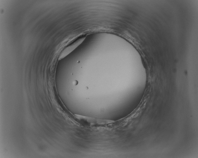 X0000070340193200606231541