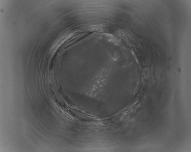 X0000070340194200606231541