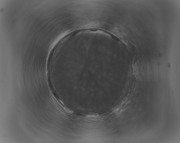 X0000070340196200606231541