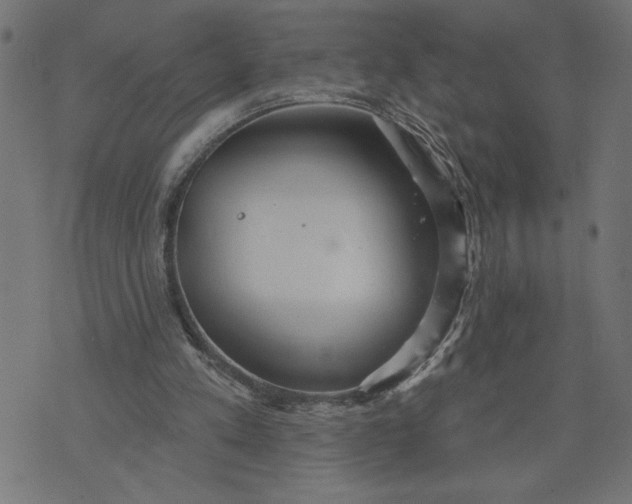 X0000070340197200606231541