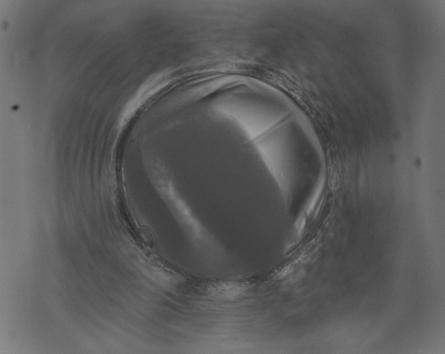 X0000070340198200606231541