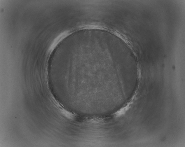 X0000070340199200606231541