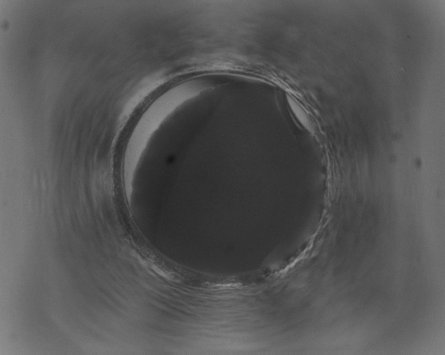 X0000070340200200606231540