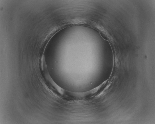 X0000070340201200606231540