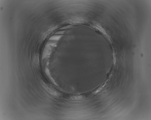 X0000070340202200606231540