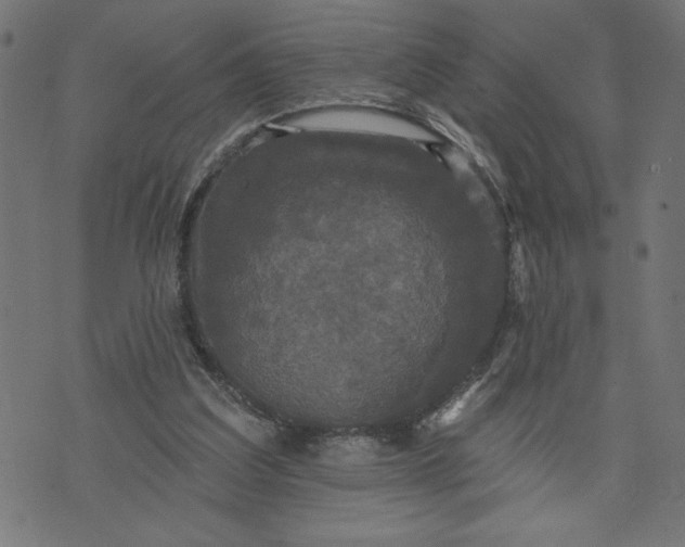 X0000070340203200606231540