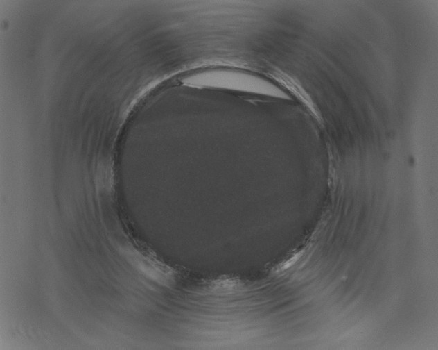 X0000070340204200606231540