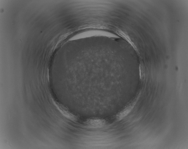 X0000070340205200606231540