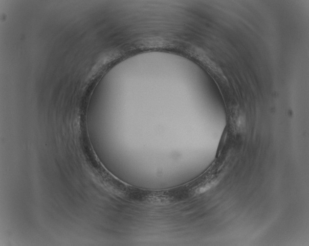 X0000070340207200606231540