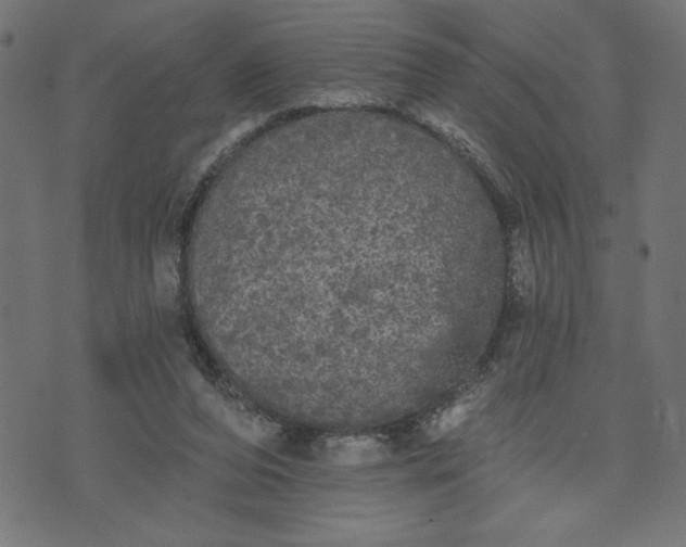 X0000070340208200606231540