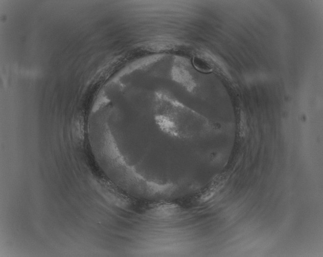 X0000070340210200606231540