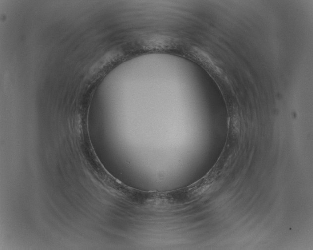 X0000070340211200606231540