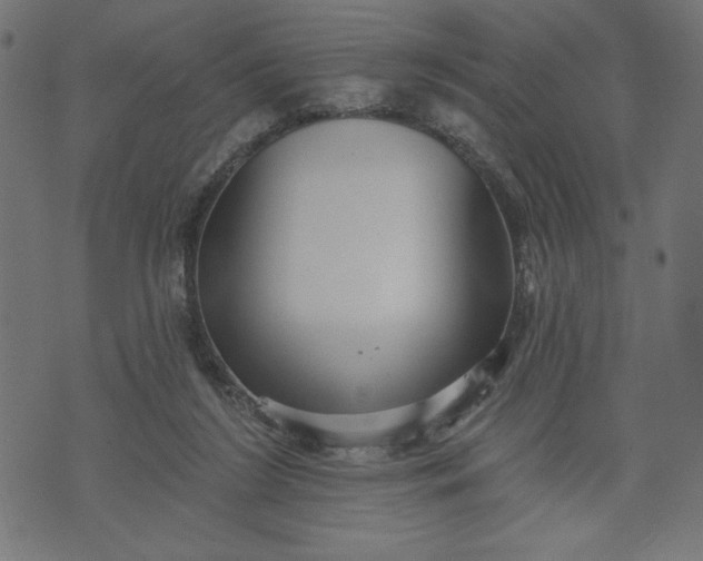 X0000070340212200606231540