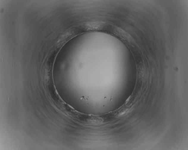 X0000070340215200606231540