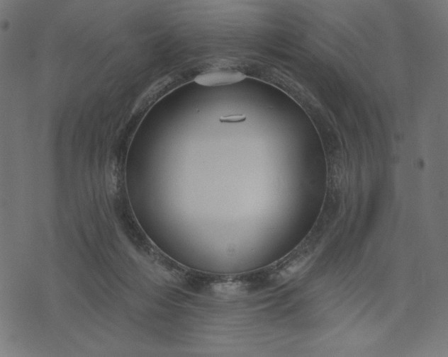 X0000070340216200606231540