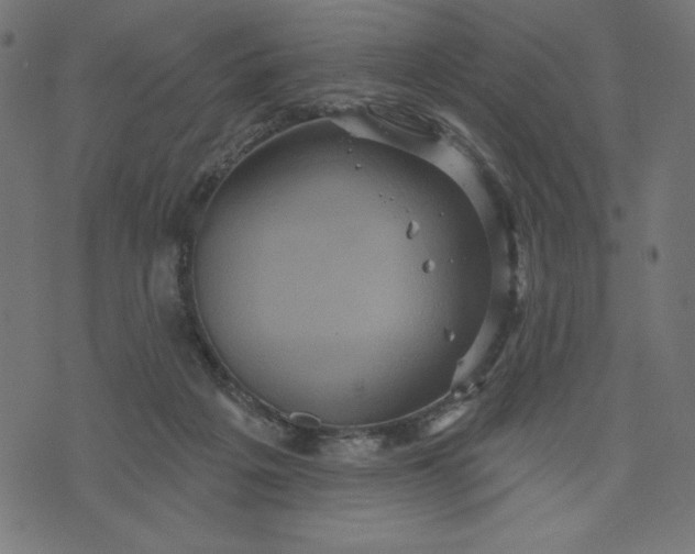 X0000070340217200606231540