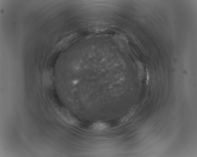 X0000070340218200606231540