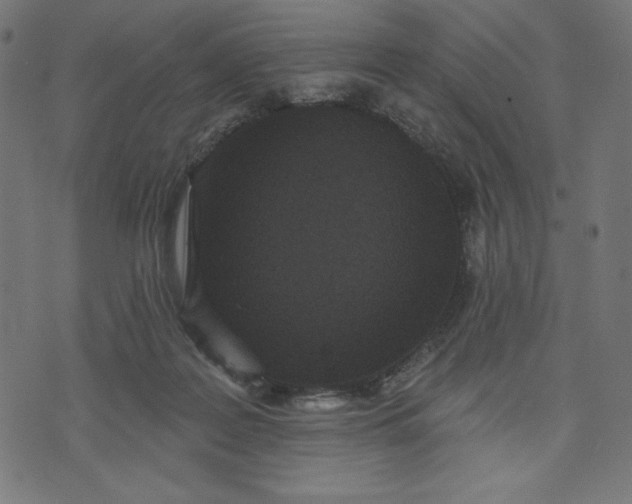 X0000070340219200606231540