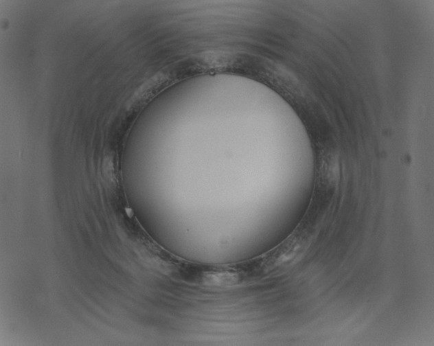 X0000070340220200606231540