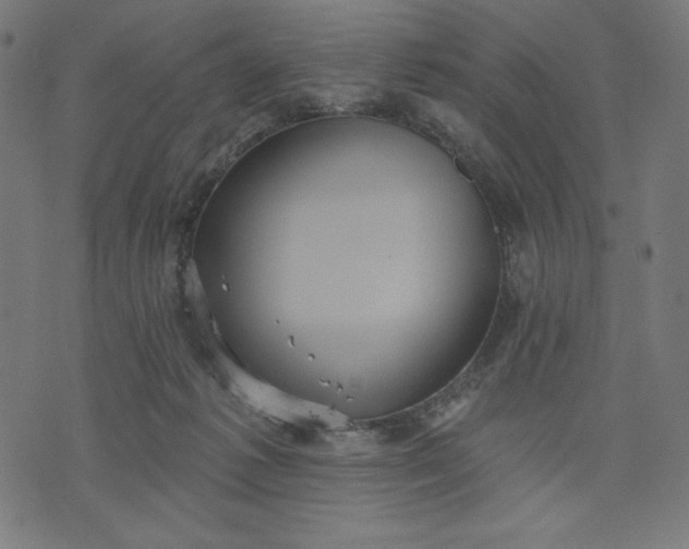 X0000070340221200606231540