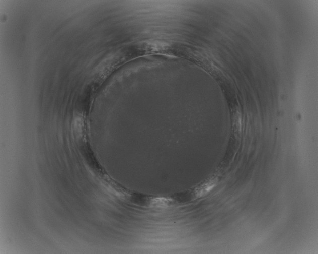 X0000070340222200606231540