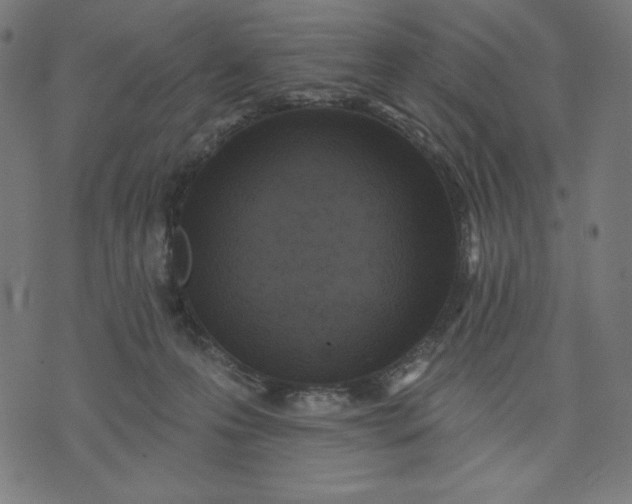 X0000070340223200606231540