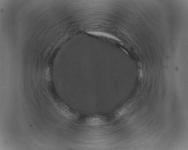 X0000070340224200606231540