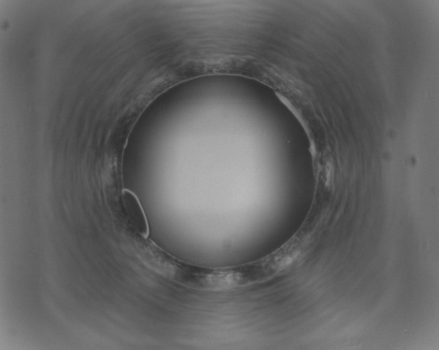 X0000070340225200606231540