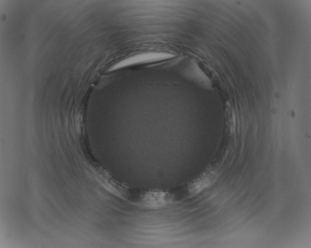 X0000070340227200606231540